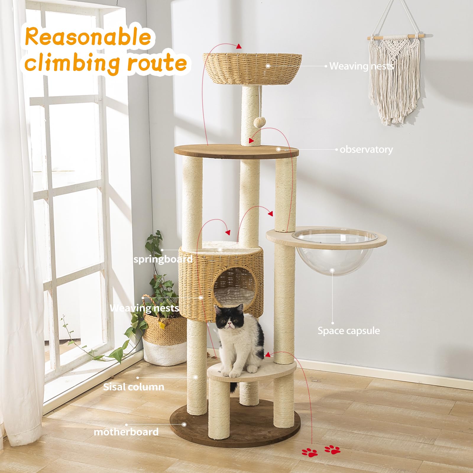 SHODMI wide-base-safety-assembly—stable cat tower ideal for multi-cat homes.