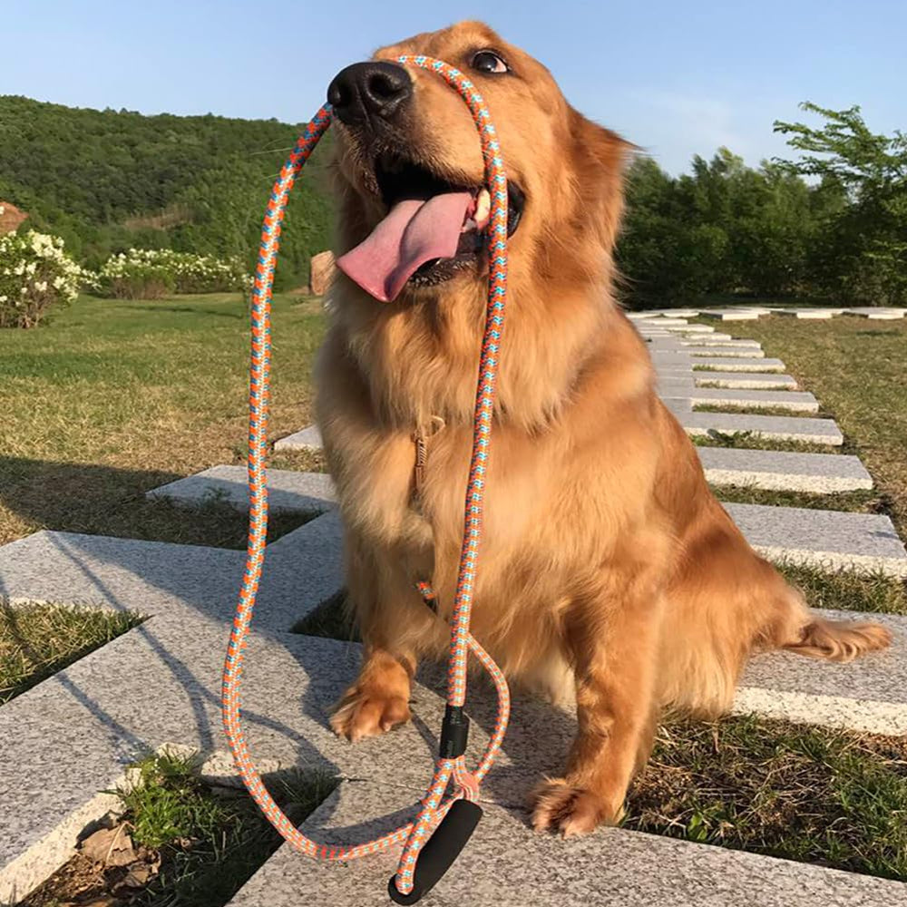 Shorven nylon strong dog rope lead hiking trail proving durability