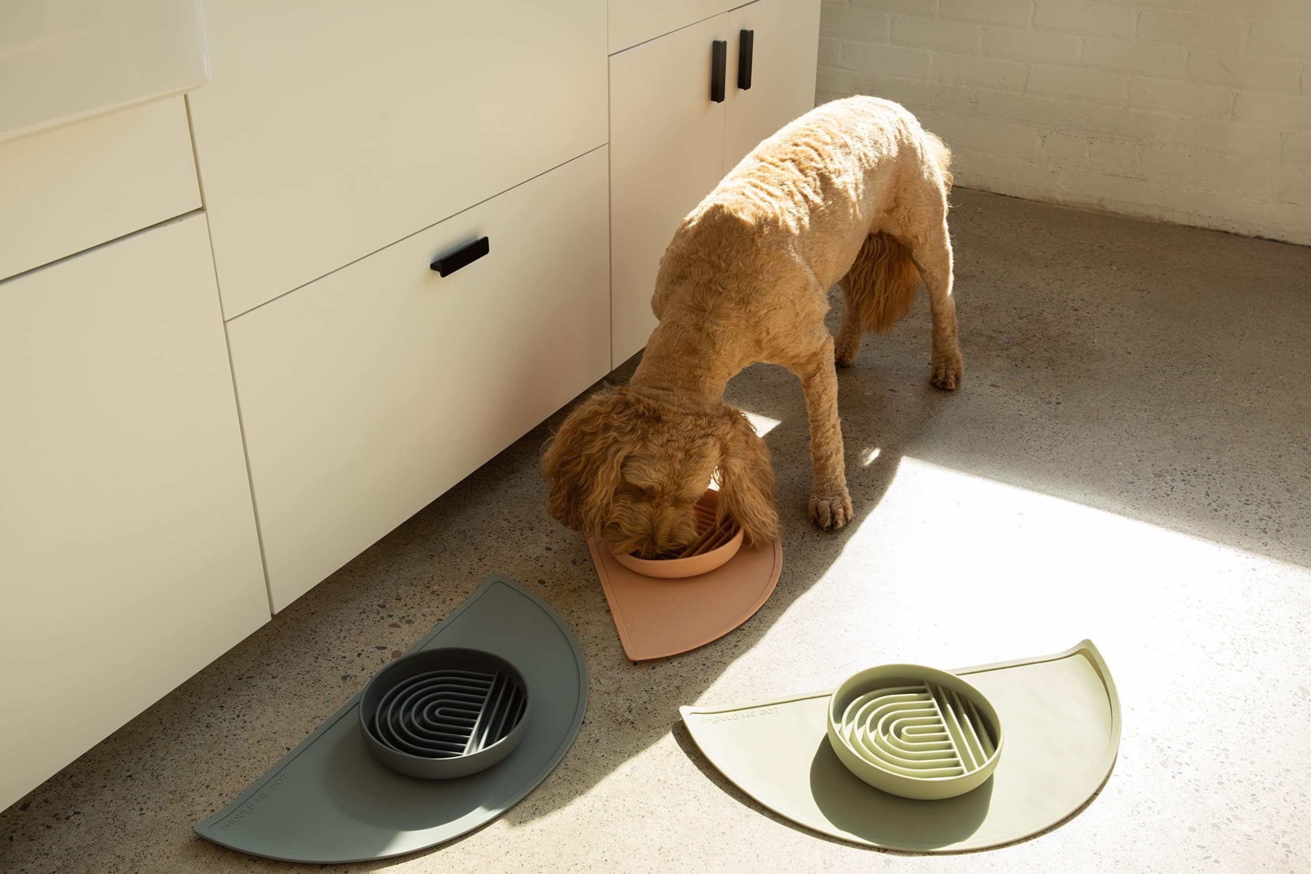 Should We Go bowls stay in place on a silicone mat