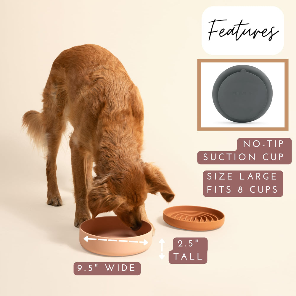 Should We Go? dog water bowl in ocean blue for indoor or outdoor use