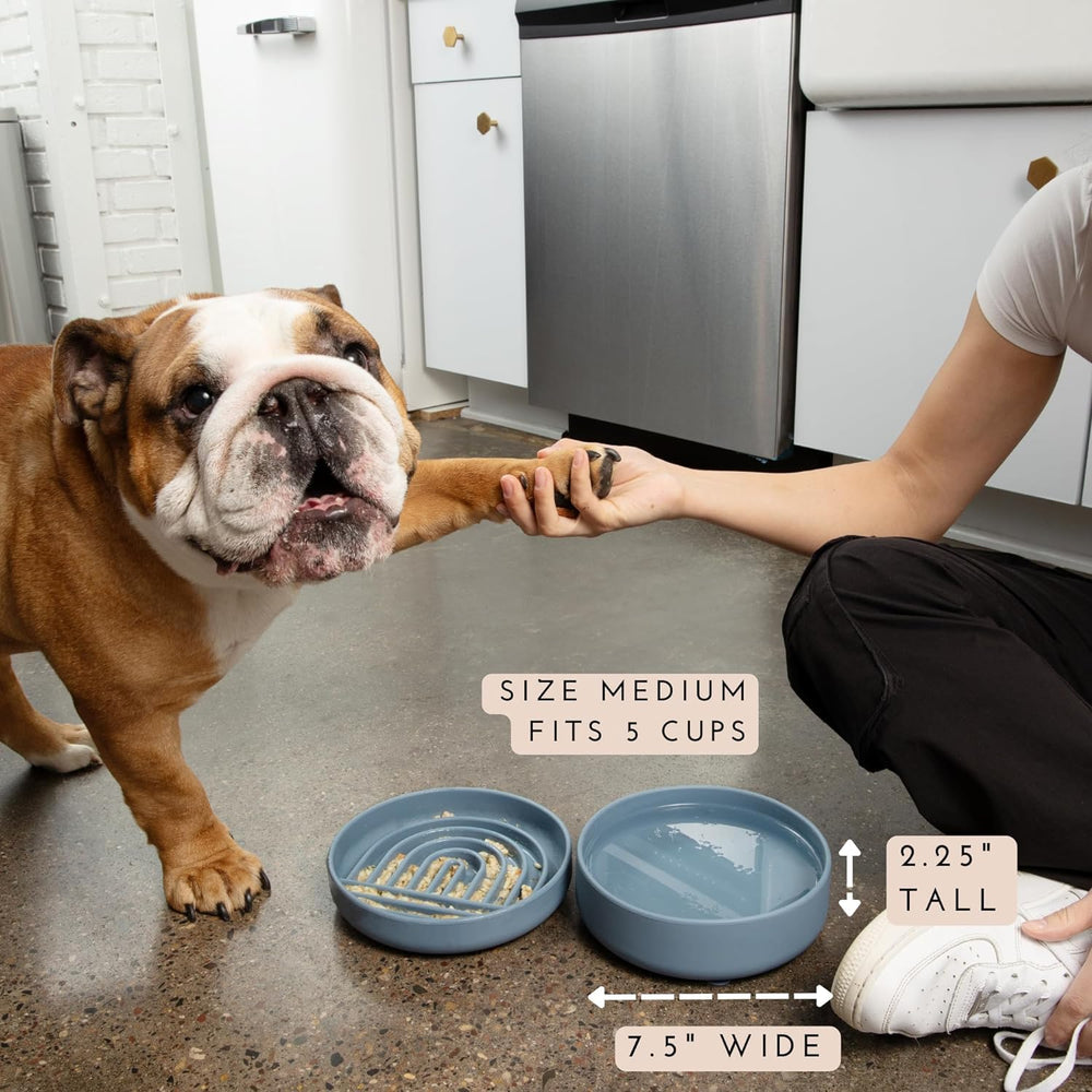 Should We Go? Pure silicone durable dish is gentle to pets and easy to clean