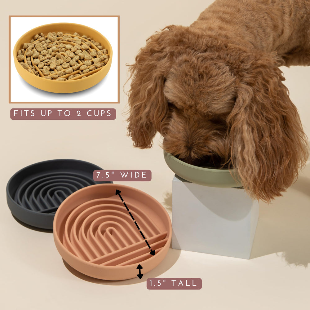 Should We Go? slowdown bowl holds up to 2 cups for medium dogs.