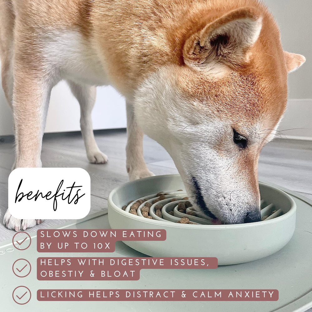 Should We Go? slowdown bowl paired with enrichment lick mat for canine stimulation.