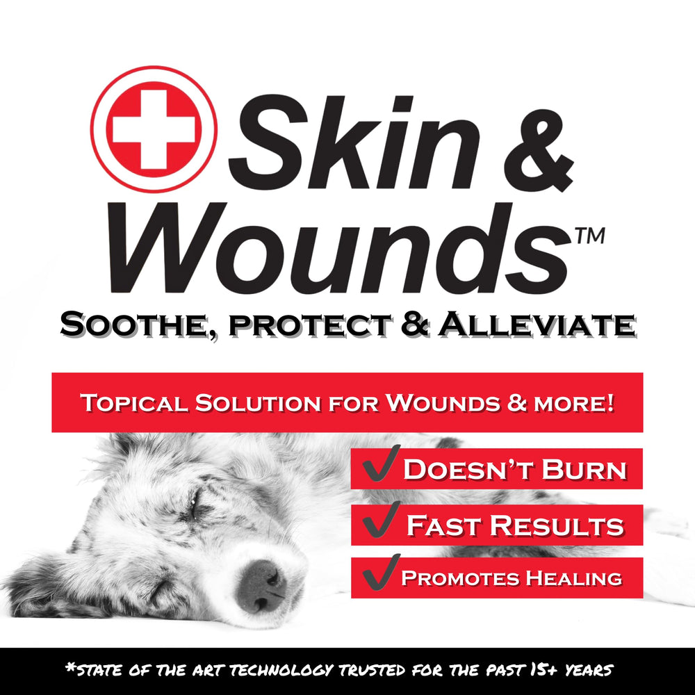 Show Out ringworm care highlights fungal skin support