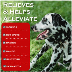 Show Out application mist applies gently to itchy patches on dogs