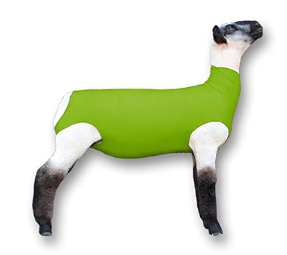 Showpro Outfitting Champions neon green lamb tube on a lamb for a snug, show-ready fit.
