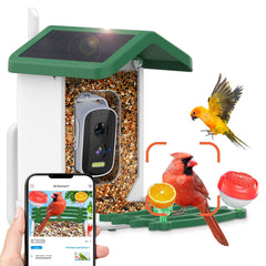 Shufield Bird Feeder Camera 4K wide-angle captures vibrant backyard birds for immersive birdwatching.