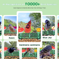 Shufield Bird Feeder Camera live view lets you watch birds anytime from mobile.