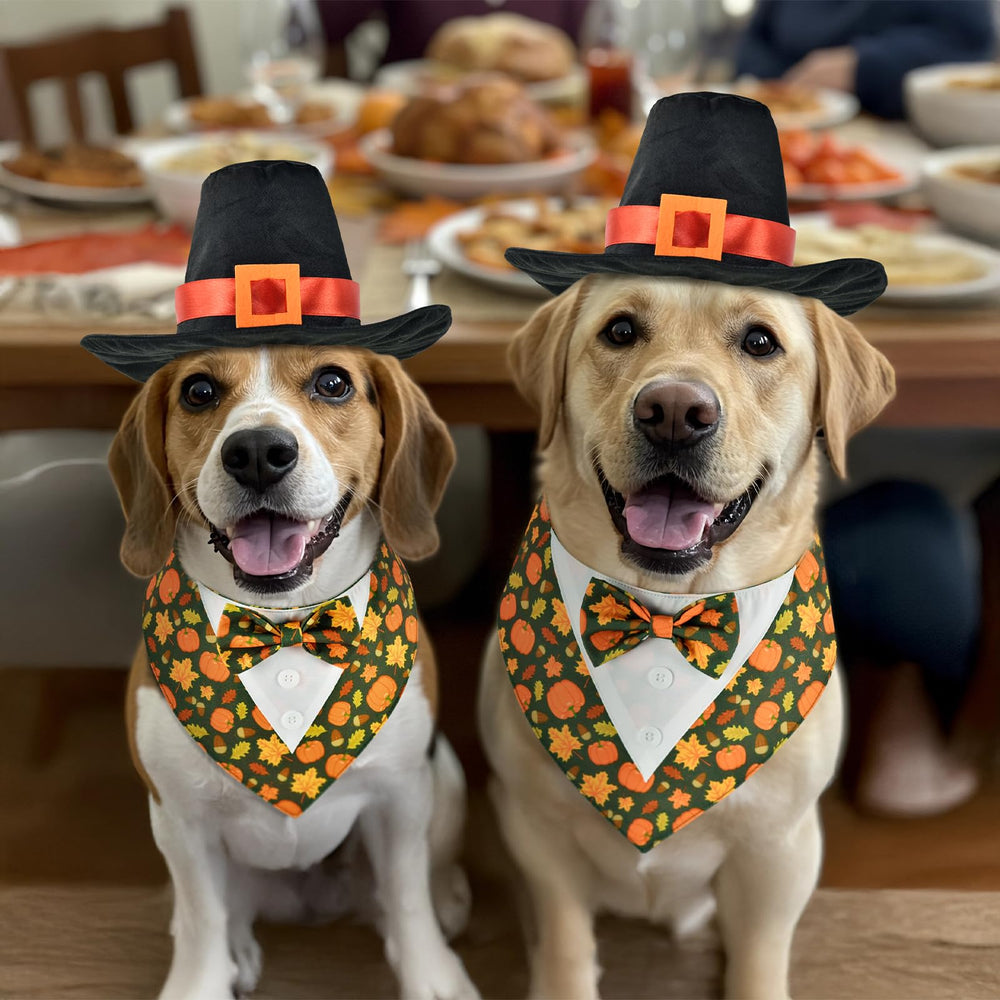 ShuRung holiday-ready pet outfit makes gifting easy.
