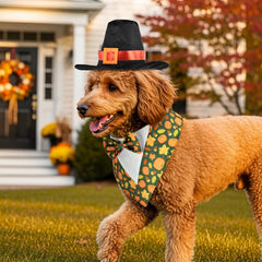 ShuRung maple-pumpkin tuxedo pattern outfit for Thanksgiving flair.