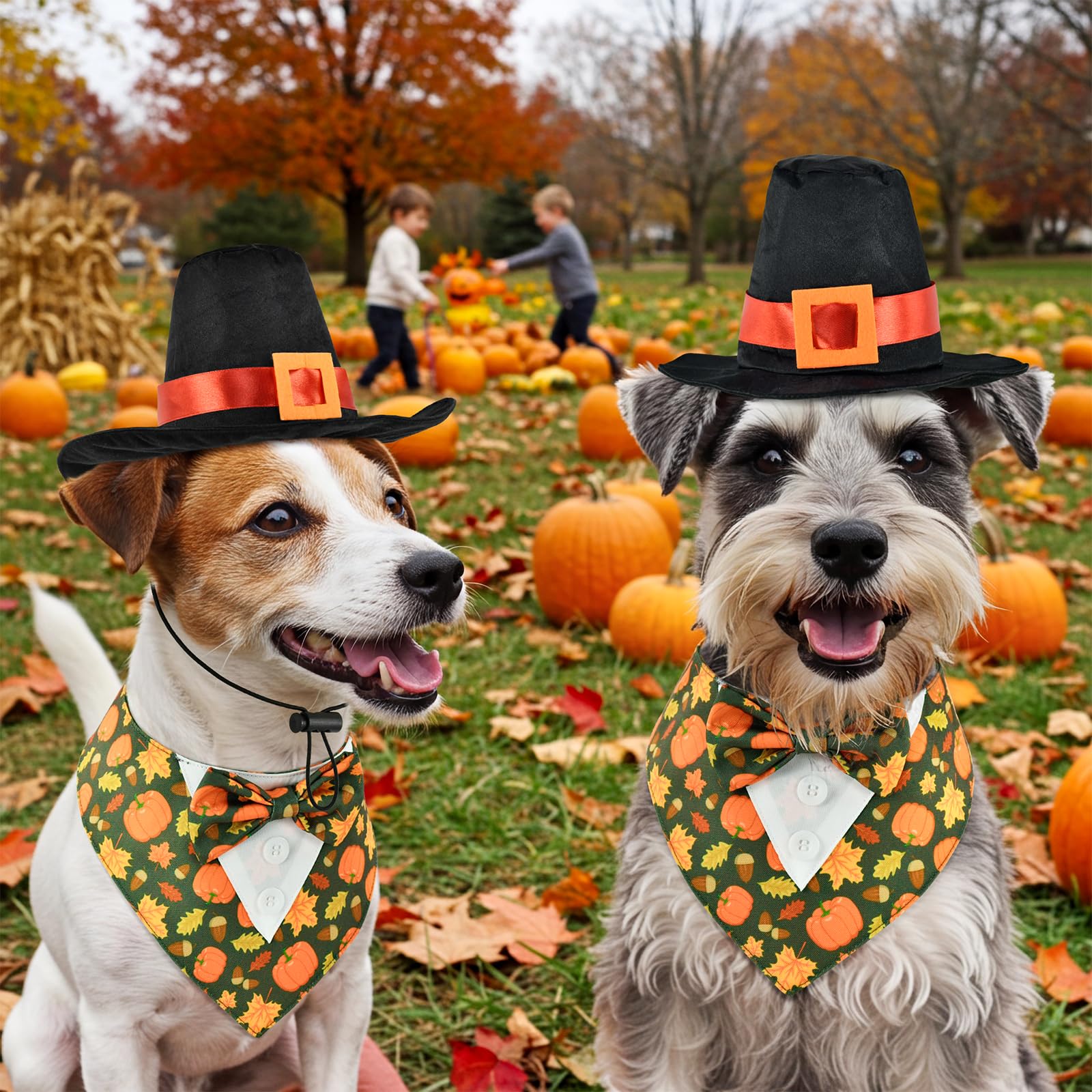 ShuRung bowtie with maple pumpkin pattern enhances festive look.