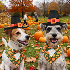 ShuRung bowtie with maple pumpkin pattern enhances festive look.
