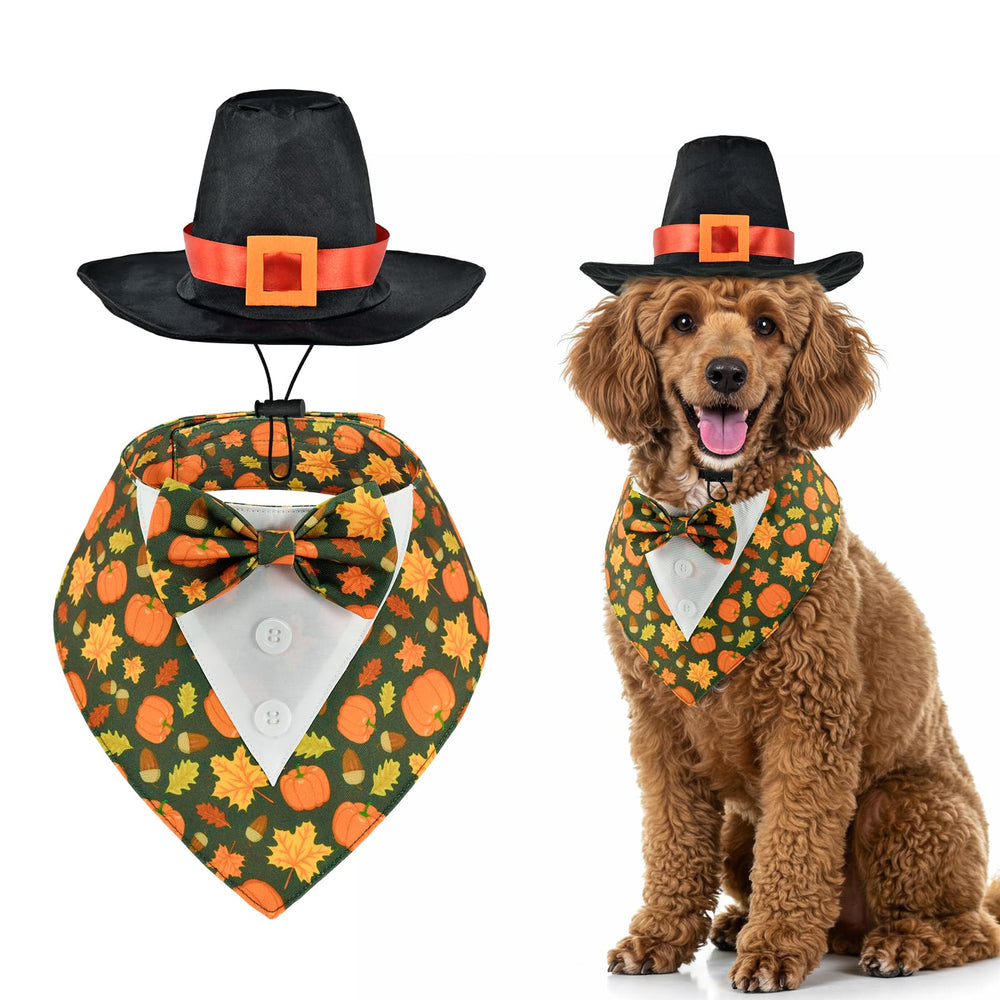 ShuRung Thanksgiving dog tuxedo for festive photoshoots.
