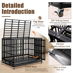 SHUSHIM crate with two locks enhances security for anxious dogs.
