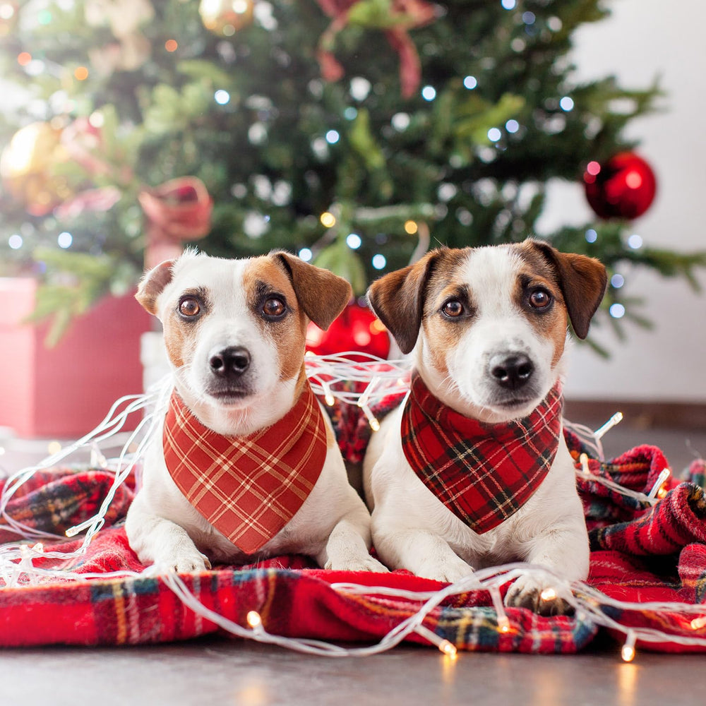 Shyyween red plaid dog bandana design close-up ideal for holiday photos