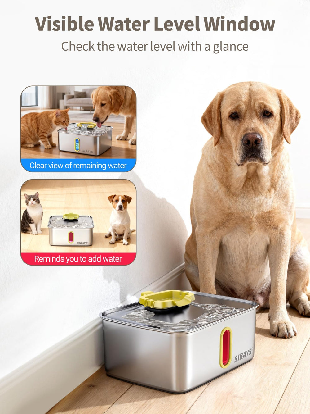 SIBAYS easy-clean design shows simple disassembly for quick maintenance.