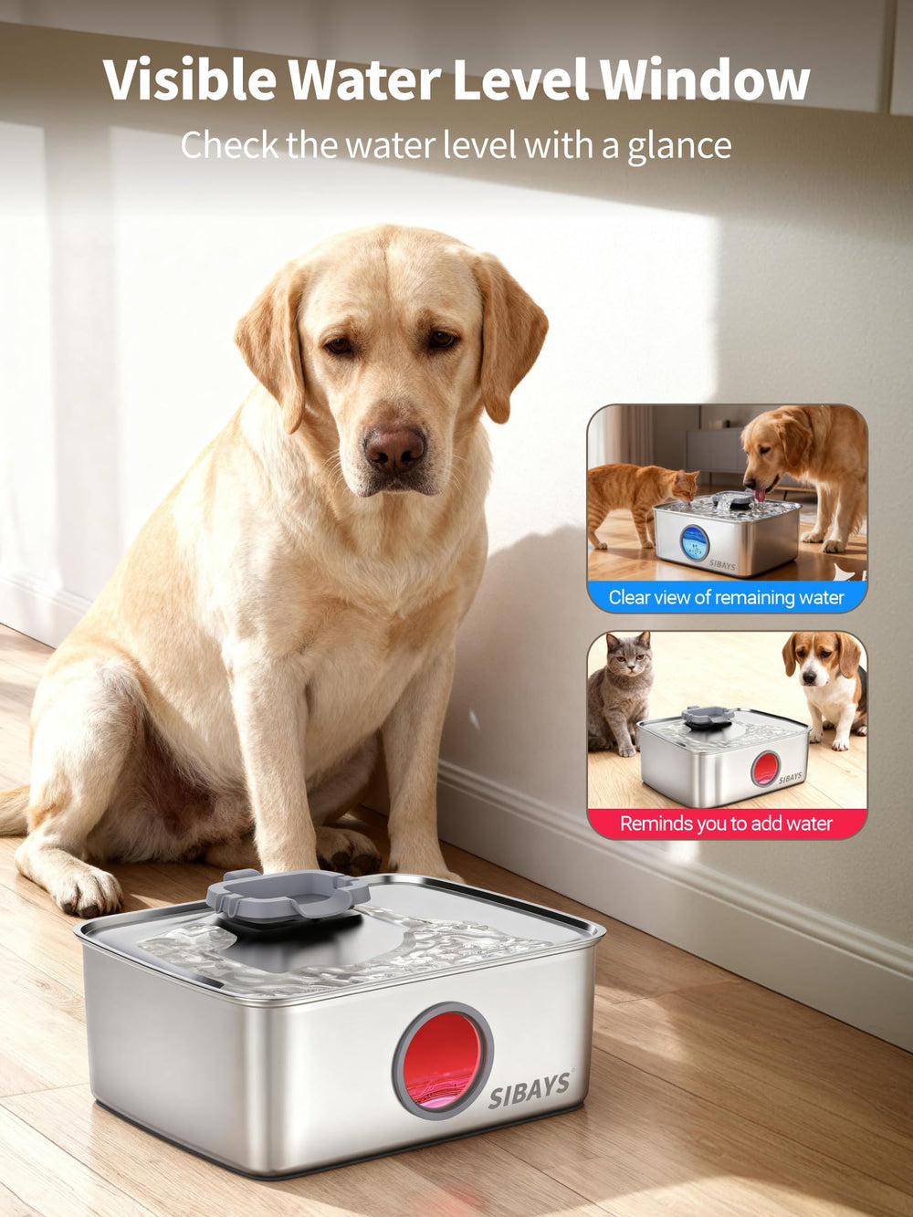 SIBAYS blue LED light helps attract pets to the fountain in low light.
