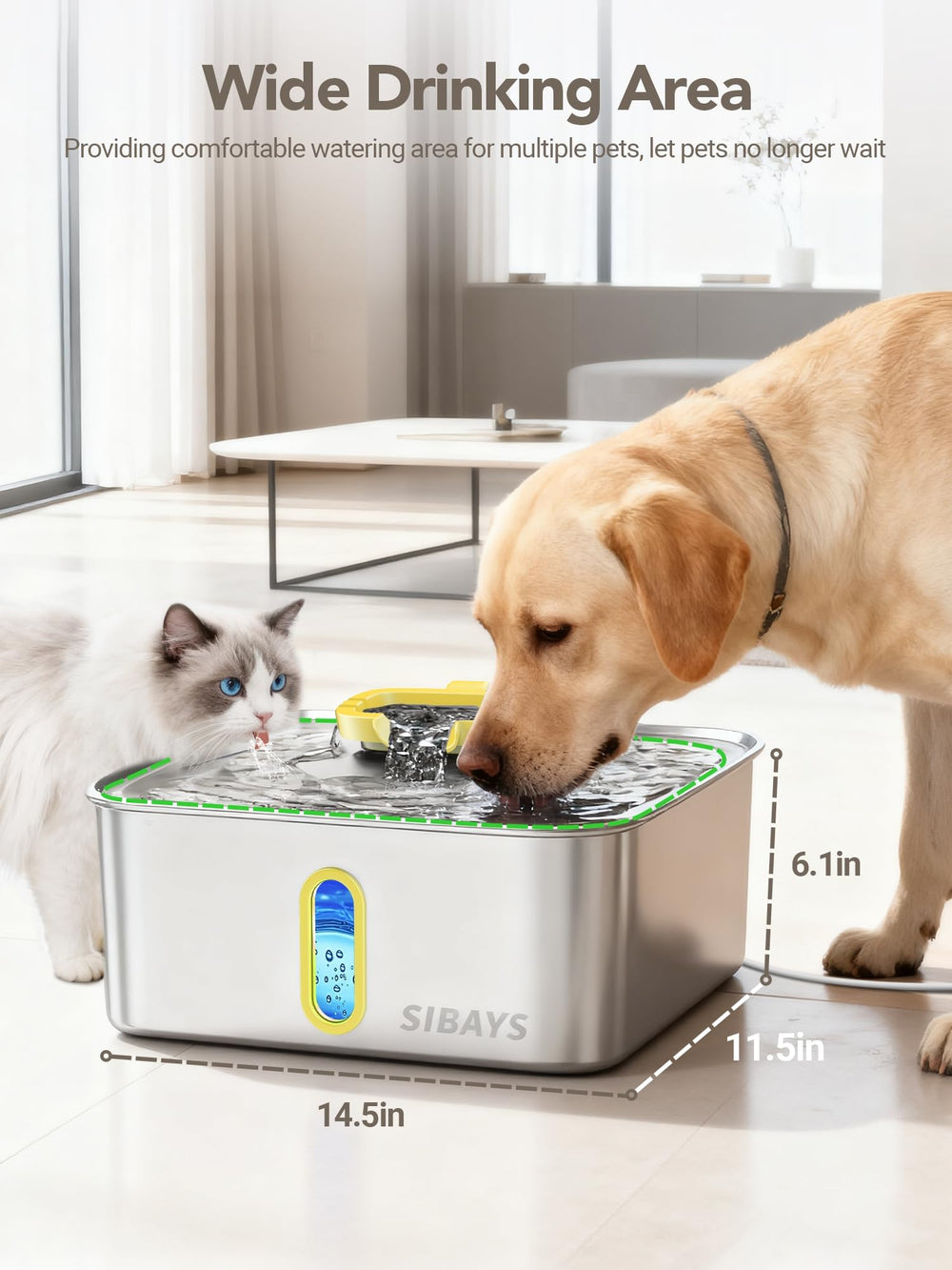 SIBAYS four-gallon capacity supports large dogs and multi-pet households.