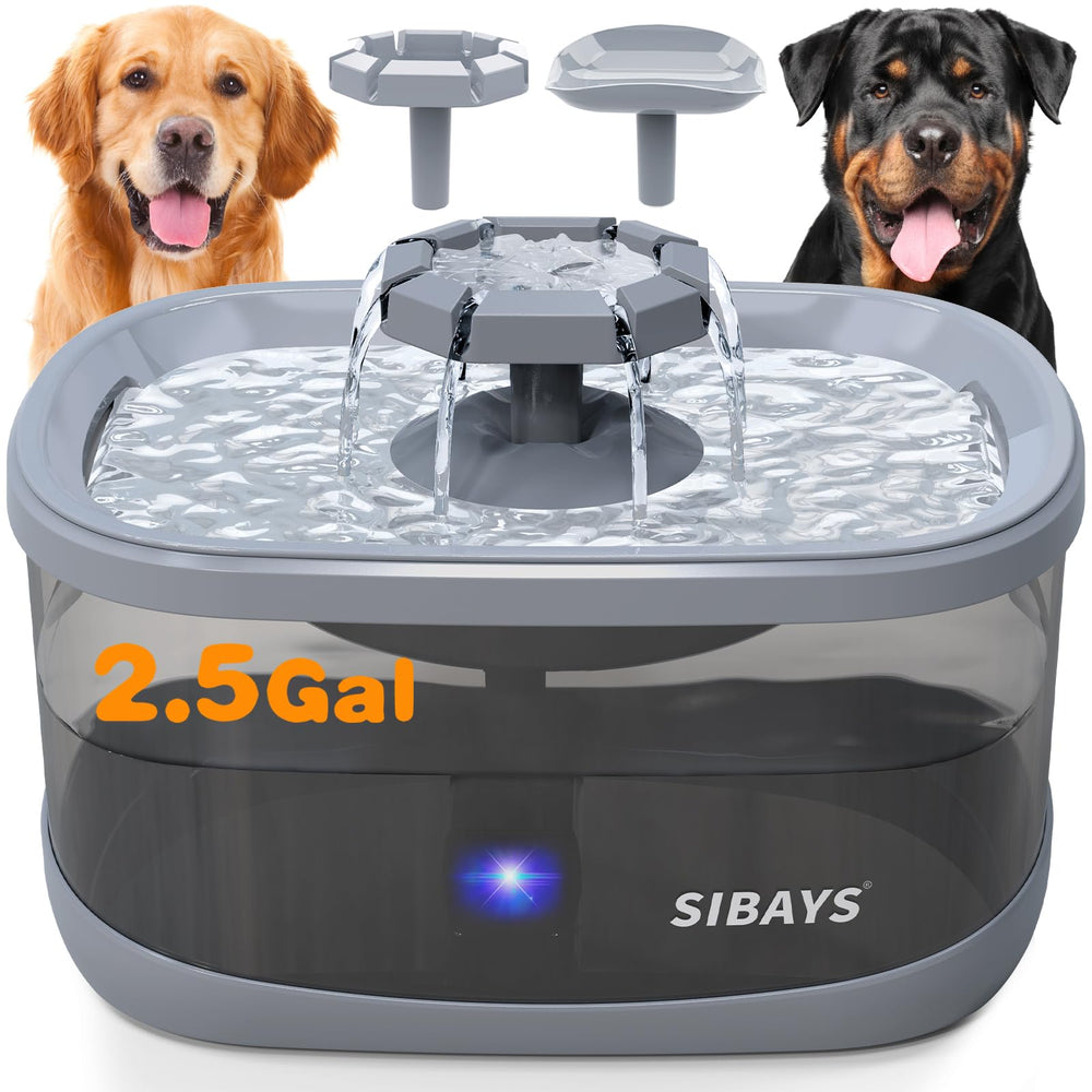 SIBAYS FS68 large-capacity 2.5gal fountain showing steady hydration for multiple pets