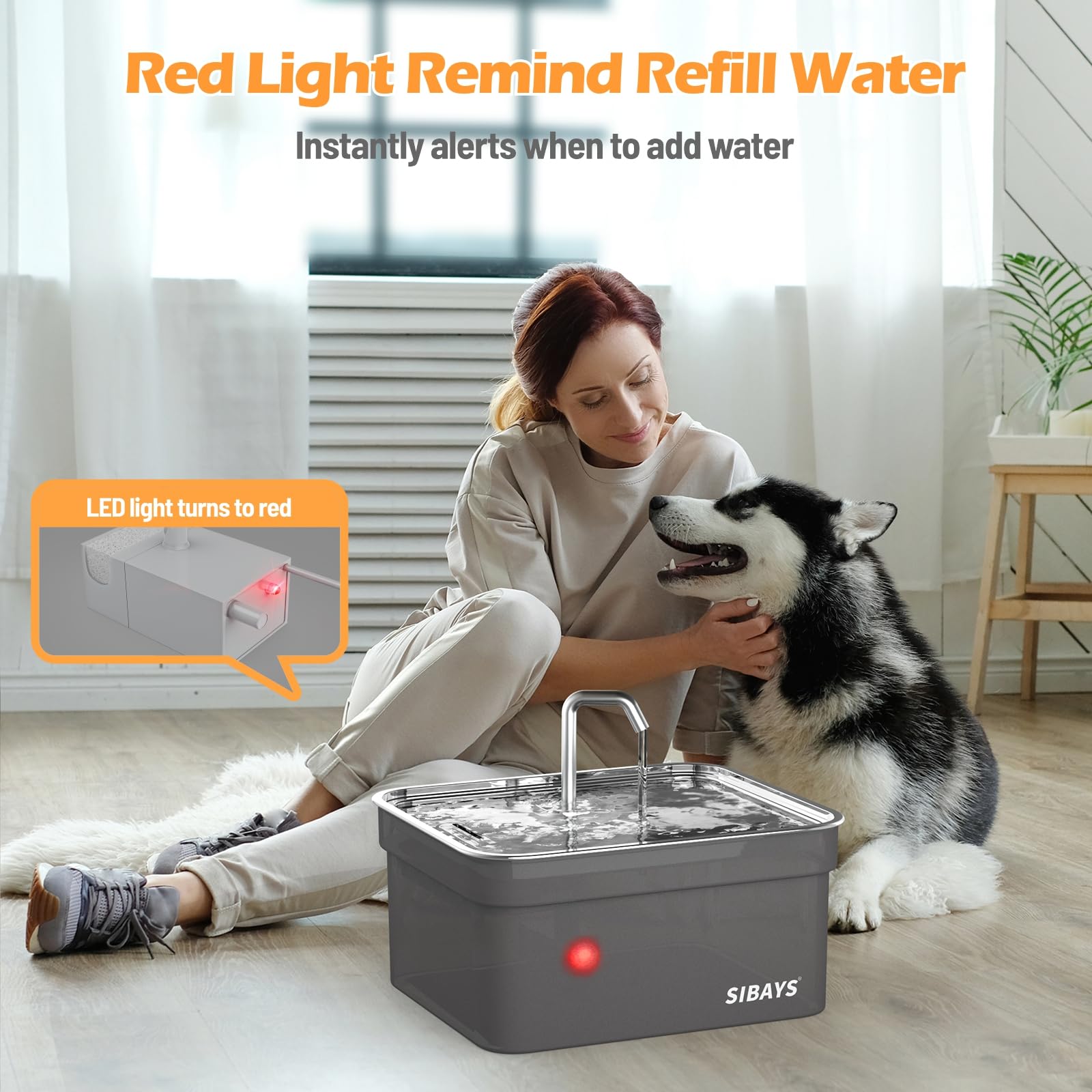 SIBAYS FS70 LED indicator signals low water for timely refills