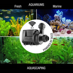 Sicce Syncra SDC hose fittings enable secure connections for reliable plumbing.