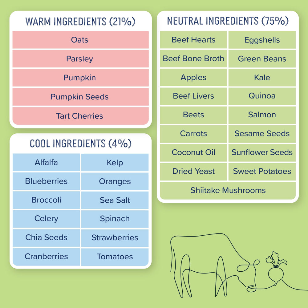 Side by Side 6-pack tub packaging showing convenience and freshness of wet dog food