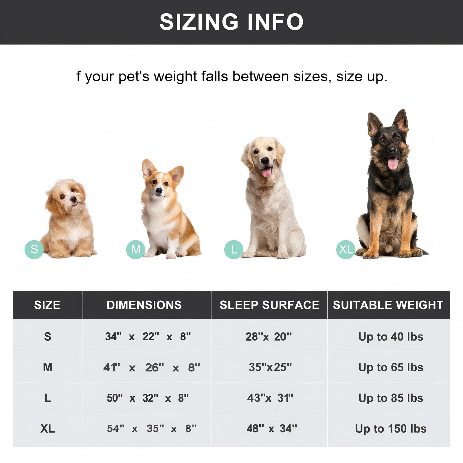 SIEMOUR cooling elevated dog bed demonstrates outdoor lounging with airflow.