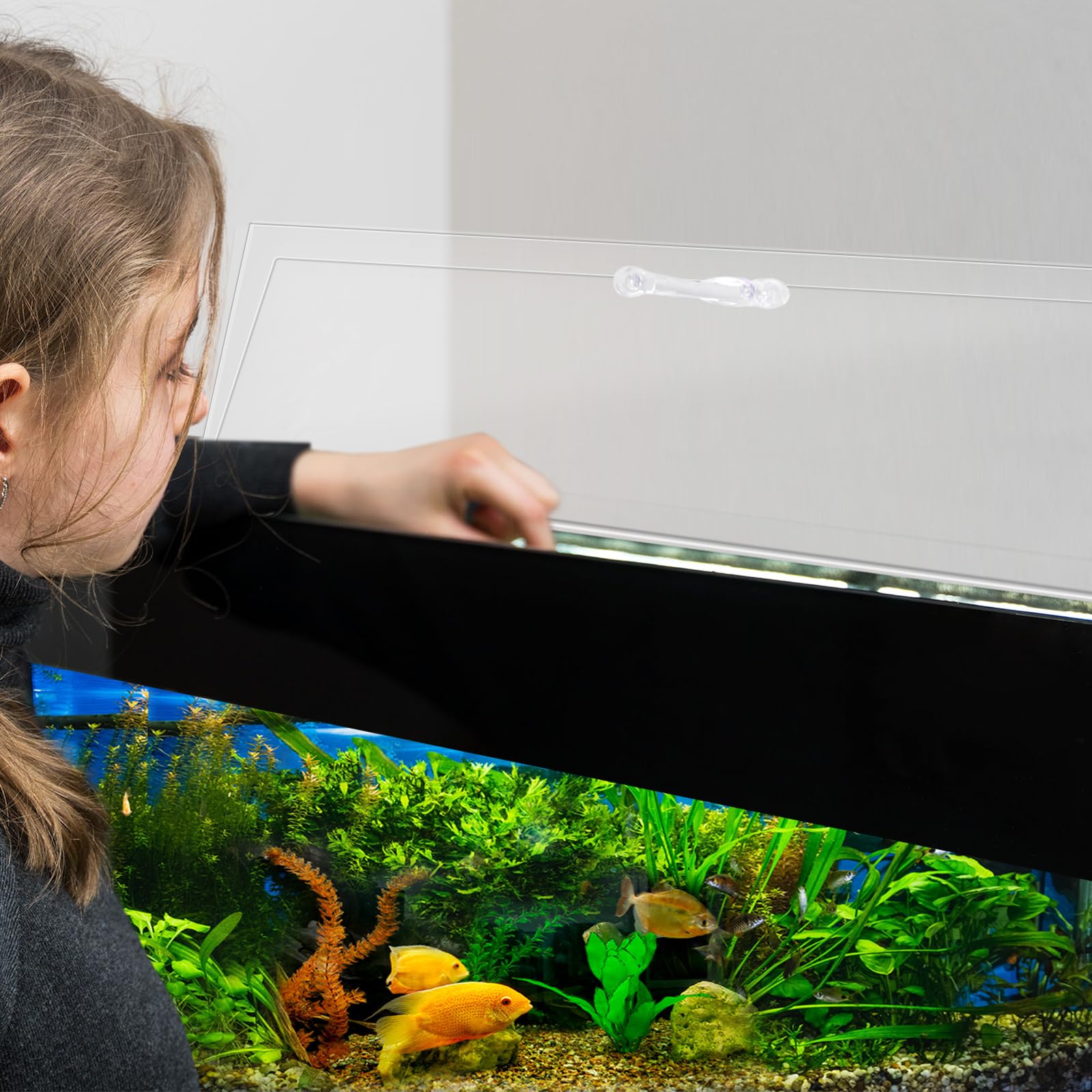 Sieral transparent lid preserves light while protecting fish and environment.