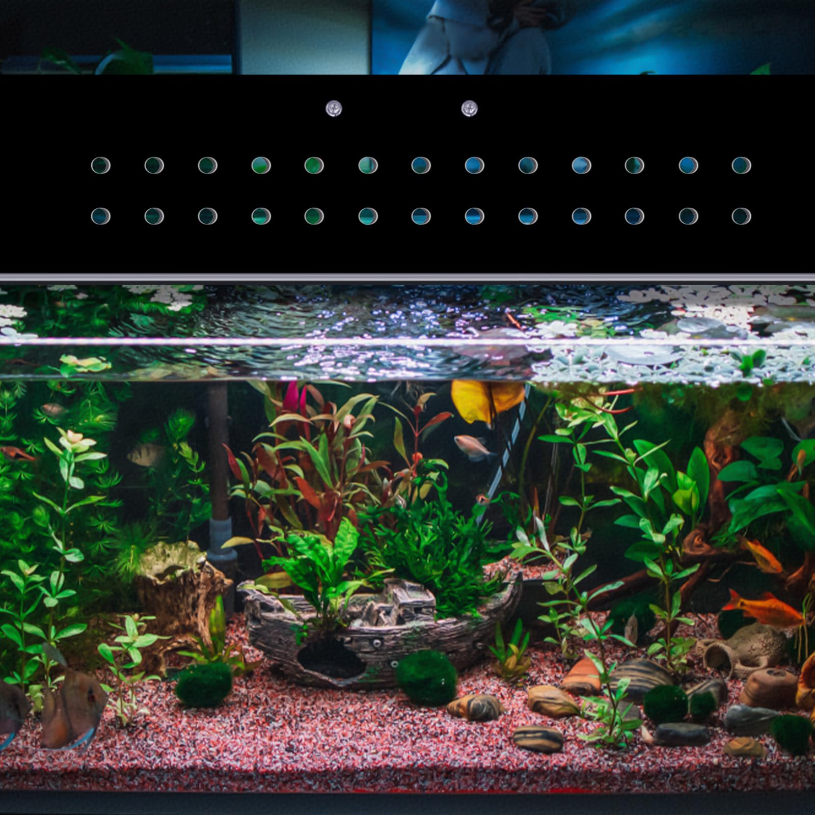 Sieral polycarbonate lid breathable holes image emphasizes air flow control for tank health