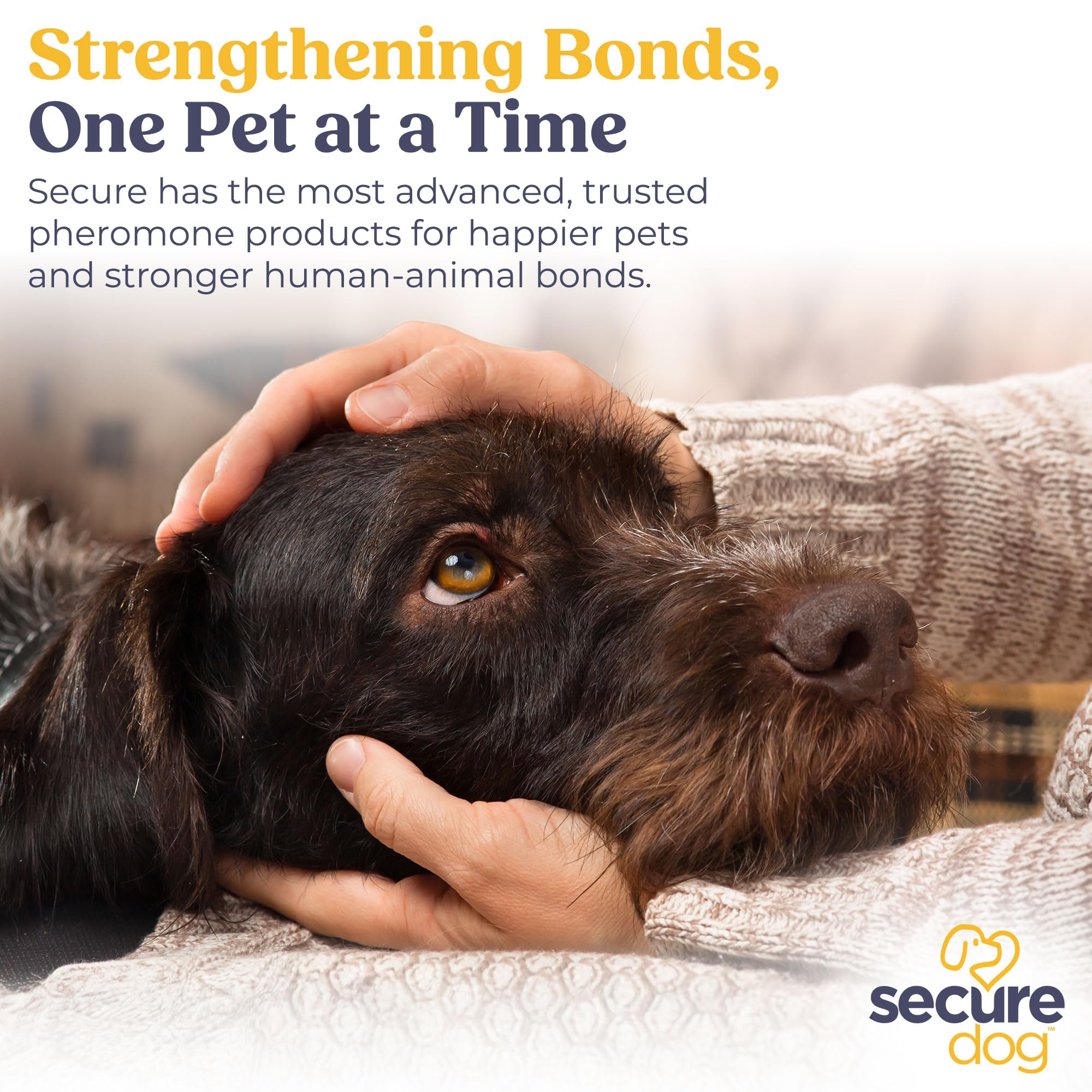 SIGNS SecureDog Transport car-interior features comfortable setup for calm travel.