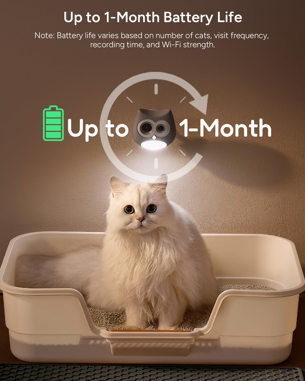 SiiPet LitterBox Camera privacy protection highlights AI-only recording when your cat is in view