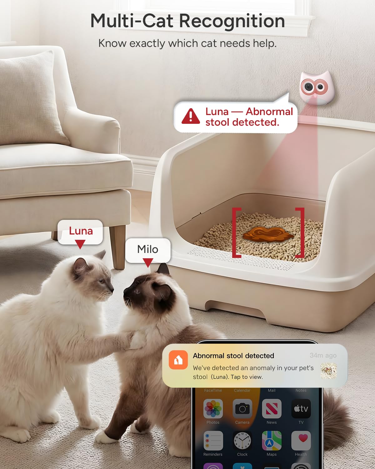 SiiPet LitterLens multi-cat detection logs each cat's events