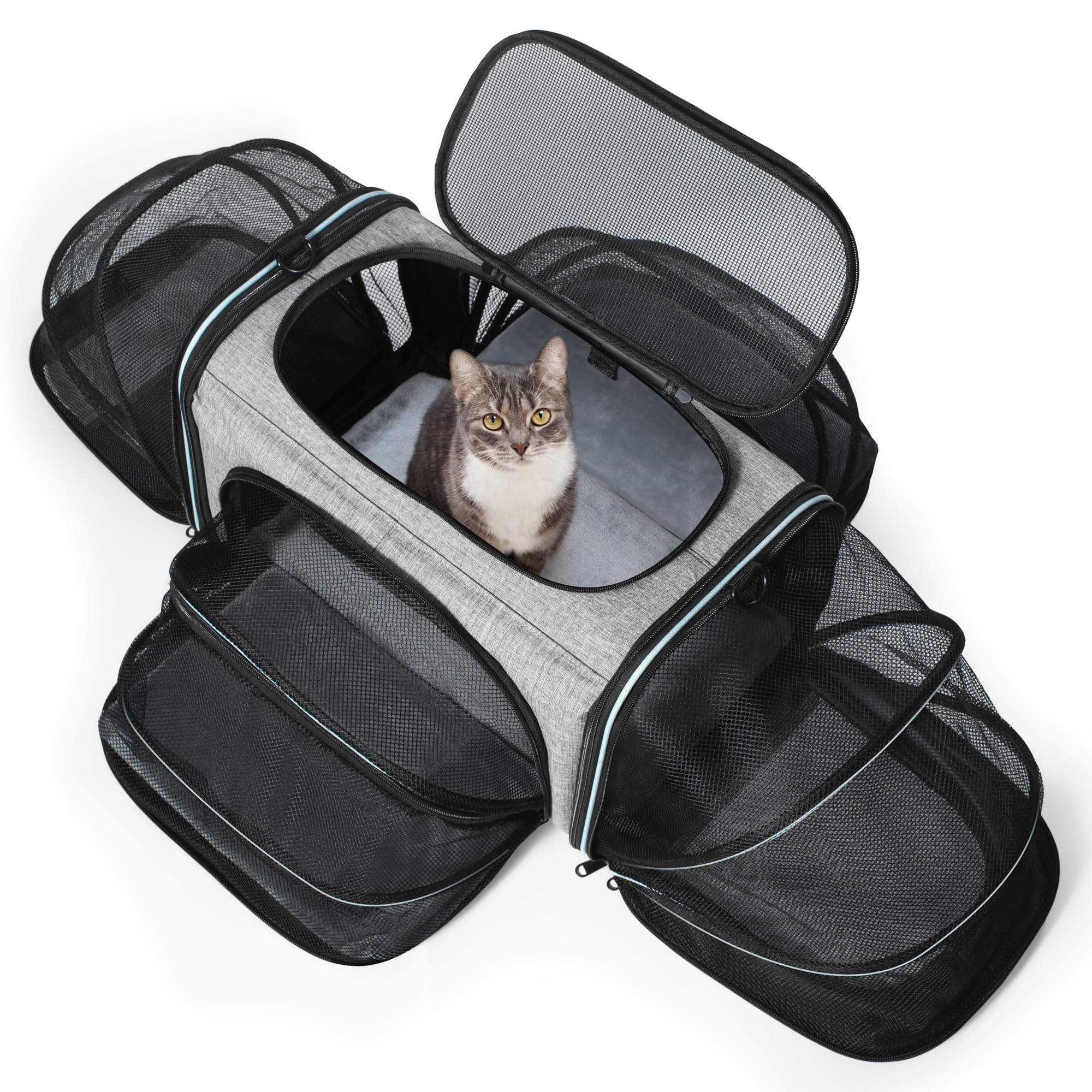 Siivton cat carrier airline-approved design for safe travel.
