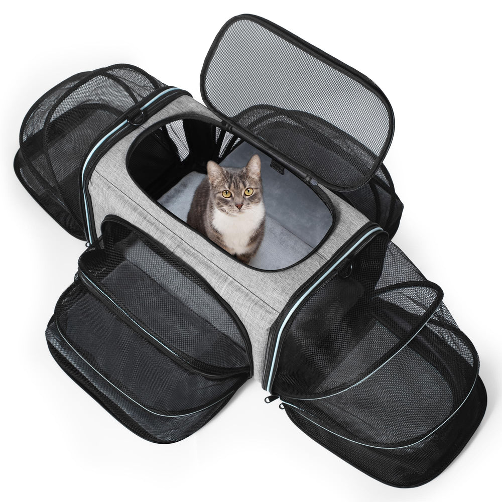 Siivton cat carrier airline-approved design for safe travel.