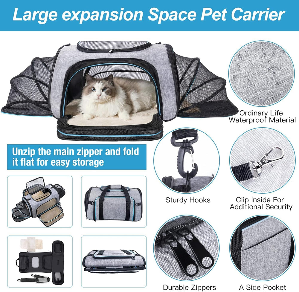 Siivton pet carrier mesh windows ensure maximum ventilation during travel