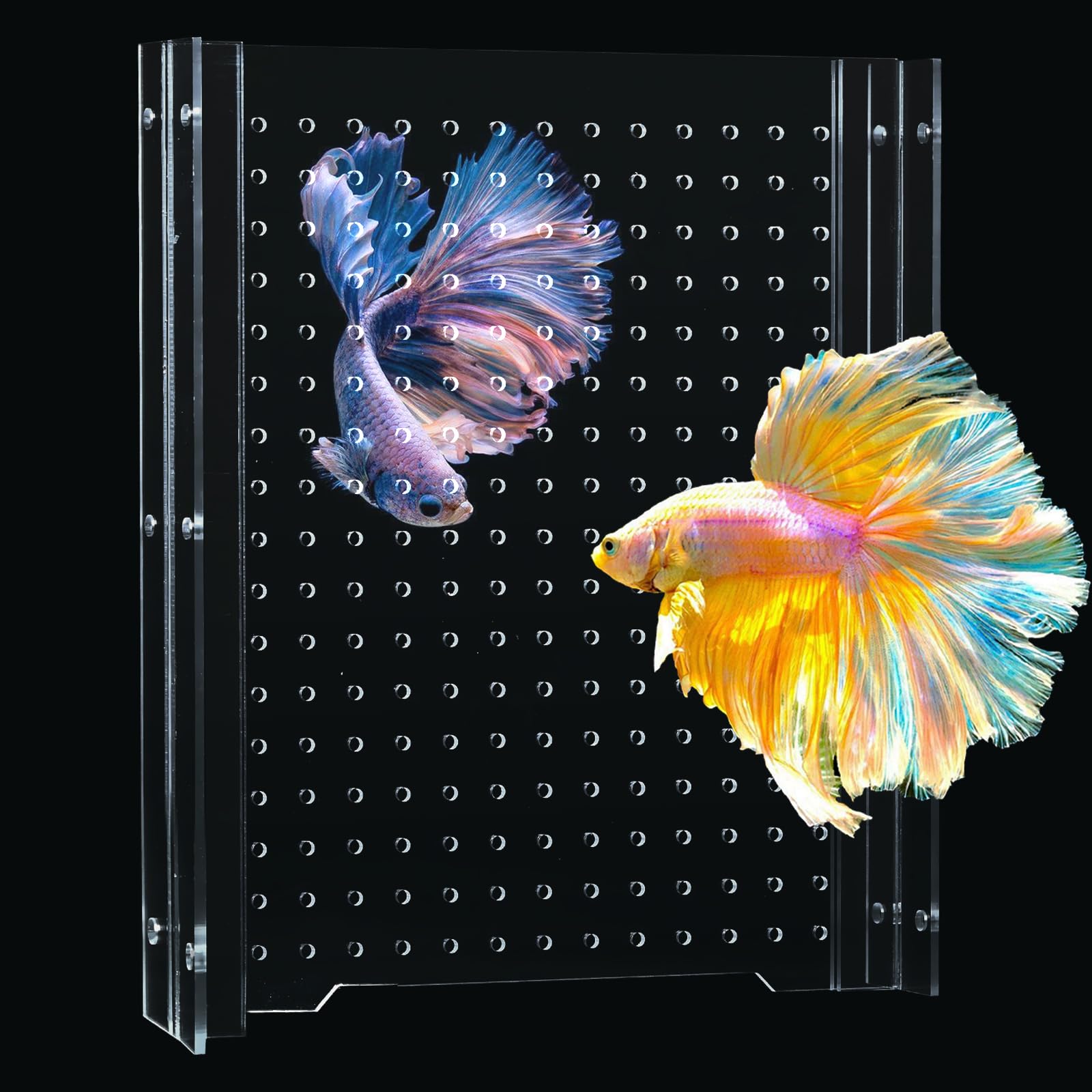 SIKGFPN acrylic fish tank divider in 15-gallon setup helps safer tank zoning.
