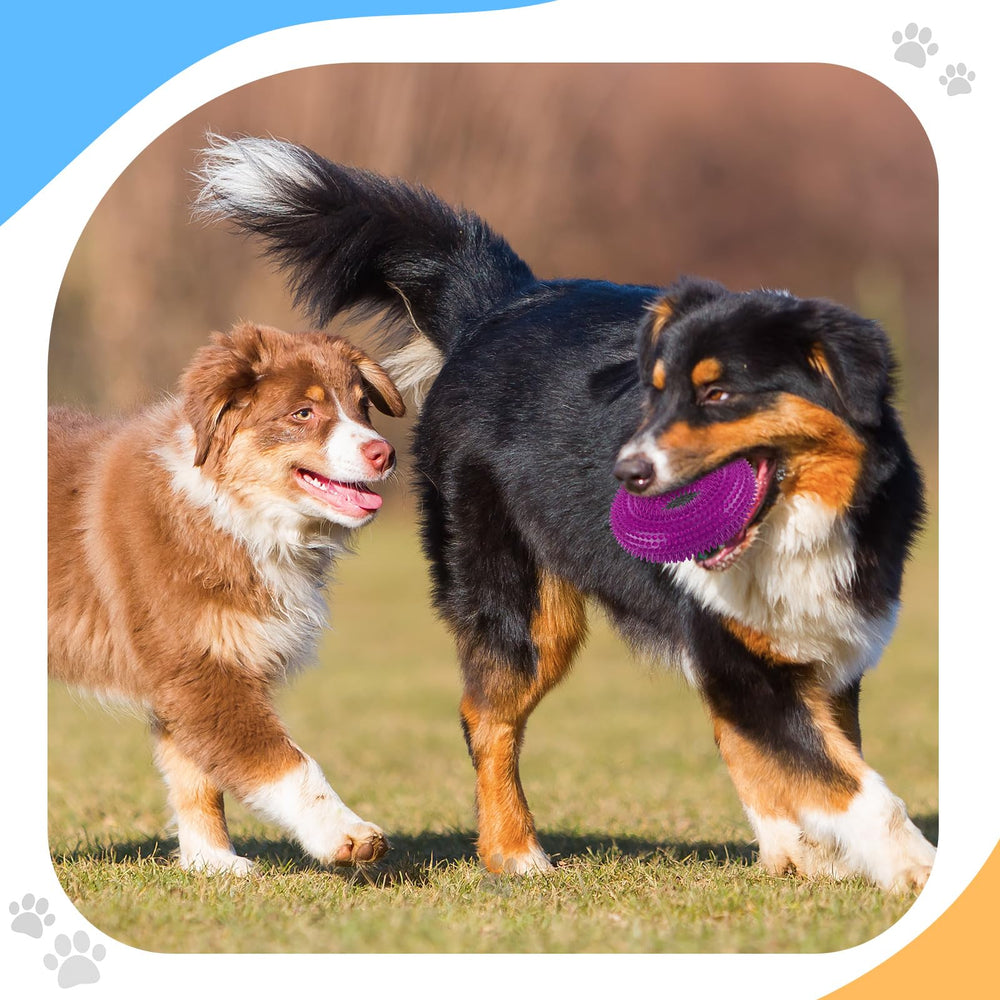 Silipull spiky squeaker football toy durable-tpr constructed for long-lasting play.
