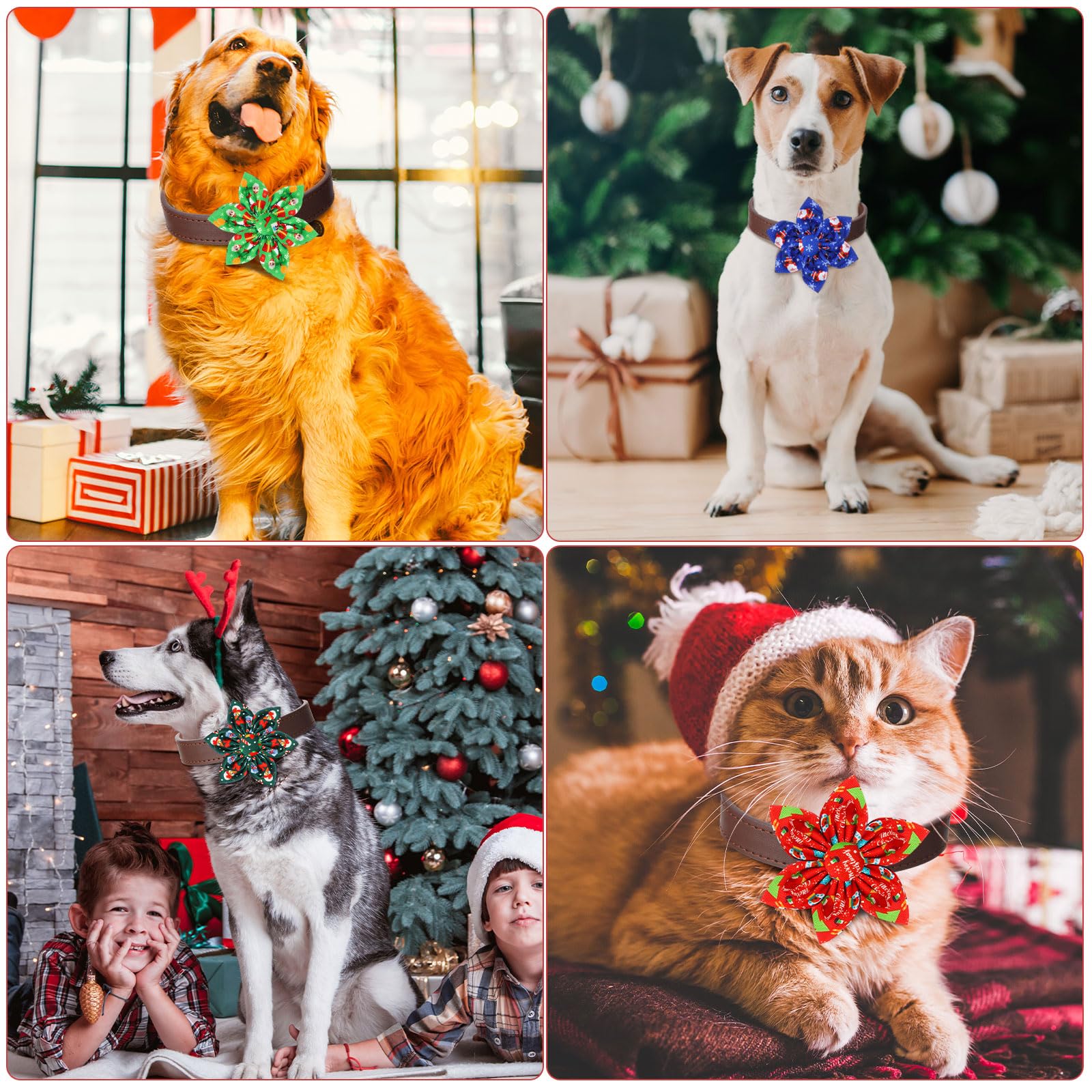 Silkfly Christmas flower bows for grooming, photos, and holiday celebrations.