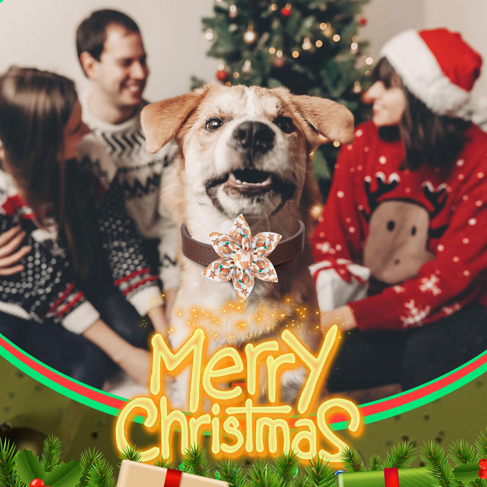 Silkfly dog bow ties with Christmas patterns, ideal for holiday photos.