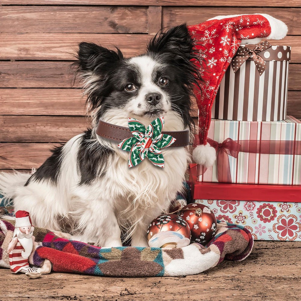 Silkfly holiday pet-flower bows kit for festive aesthetics.