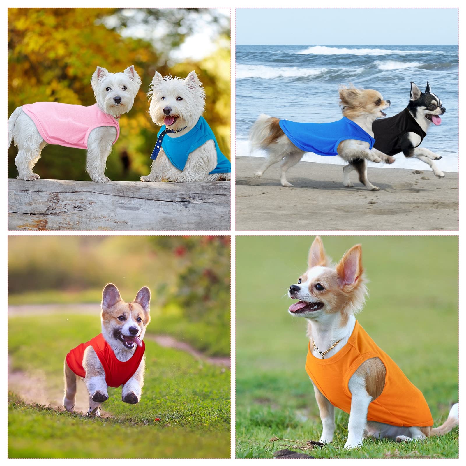 Silkfly machine-washable dog shirt demonstrates quick care