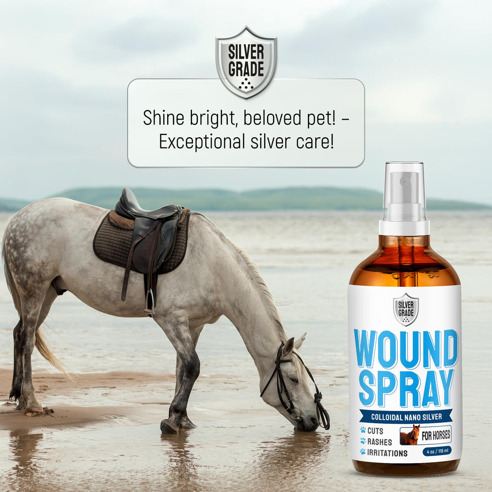 SILVER GRADE 4 oz bottle convenient for travel and on-site care.