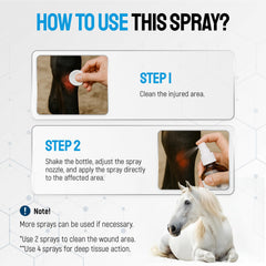SILVER GRADE horse skin irritation area ready for spray.