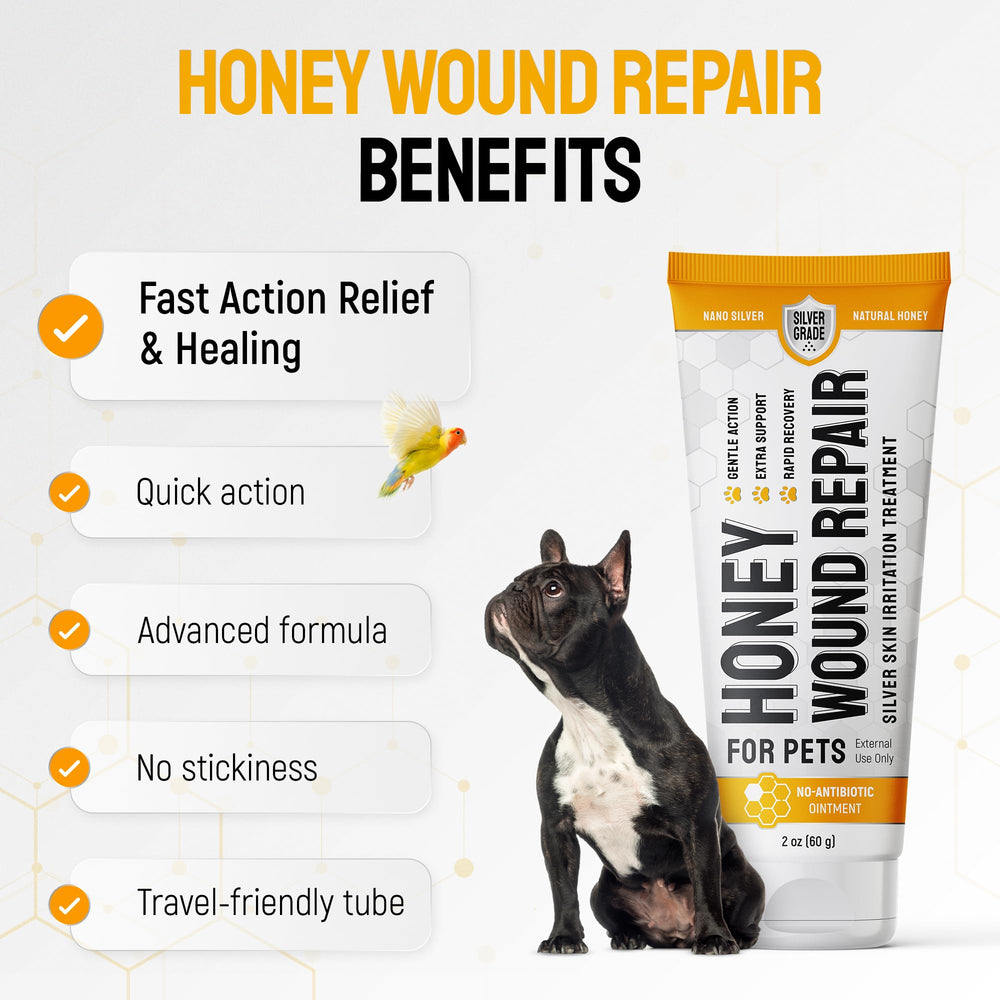 Silver Grade pet care being used in a home setting