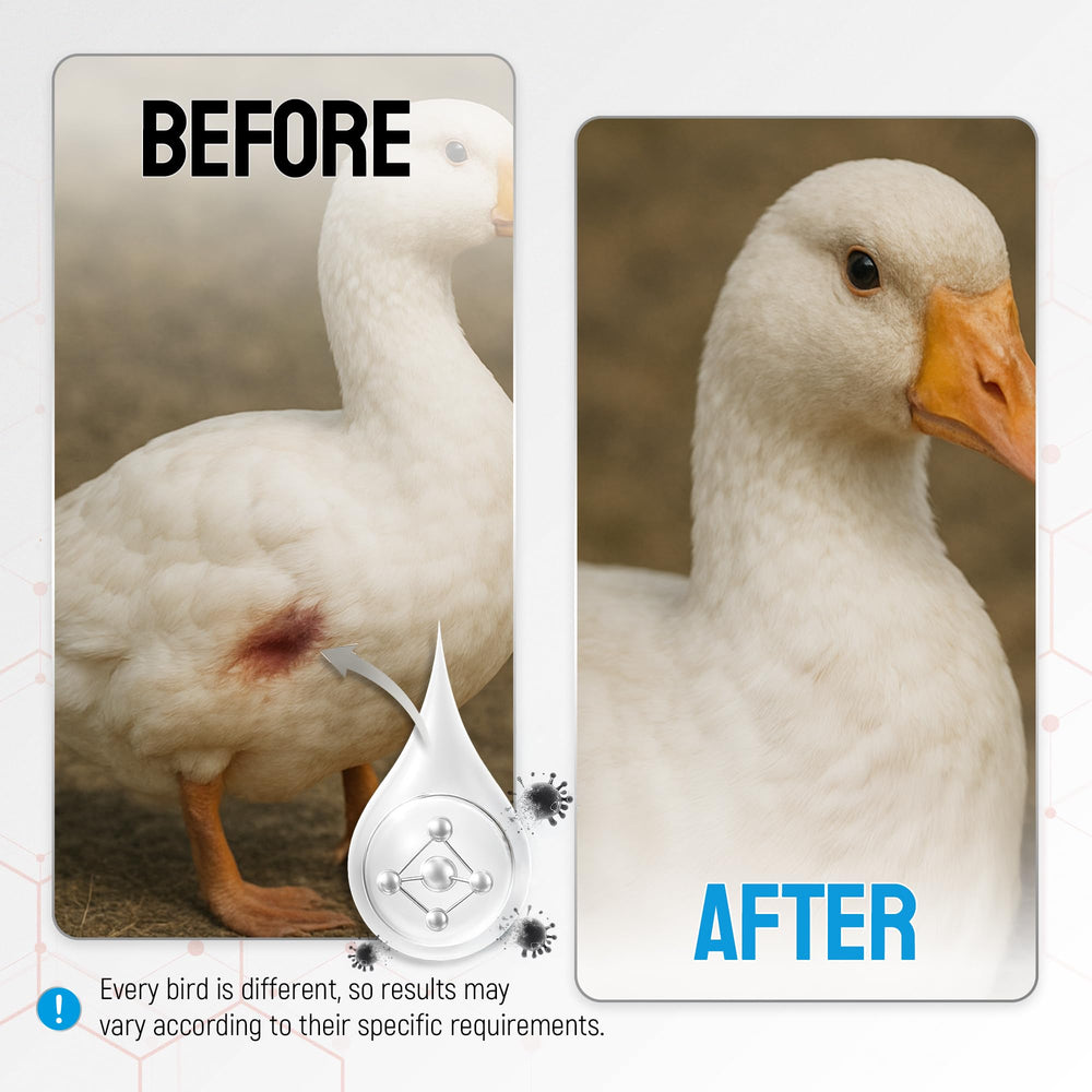 SILVER GRADE Wound Spray shows 50 PPM silver in a clear mist.