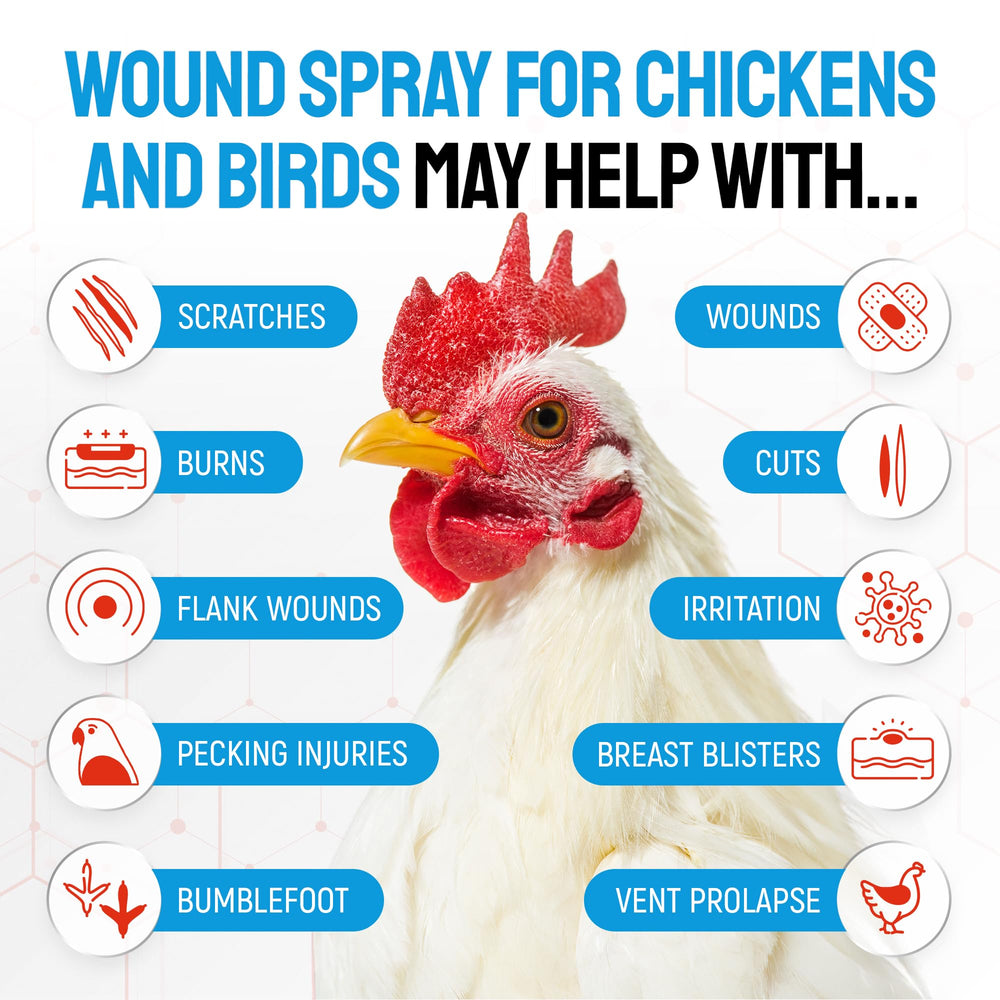 SILVER GRADE Wound Spray applied to a chicken for at-home wound care.