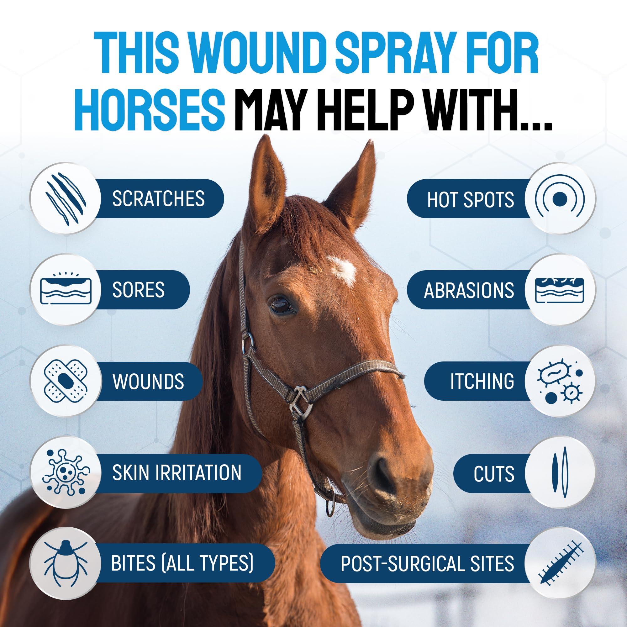 SILVER GRADE wound spray application on horse leg for minor injuries.