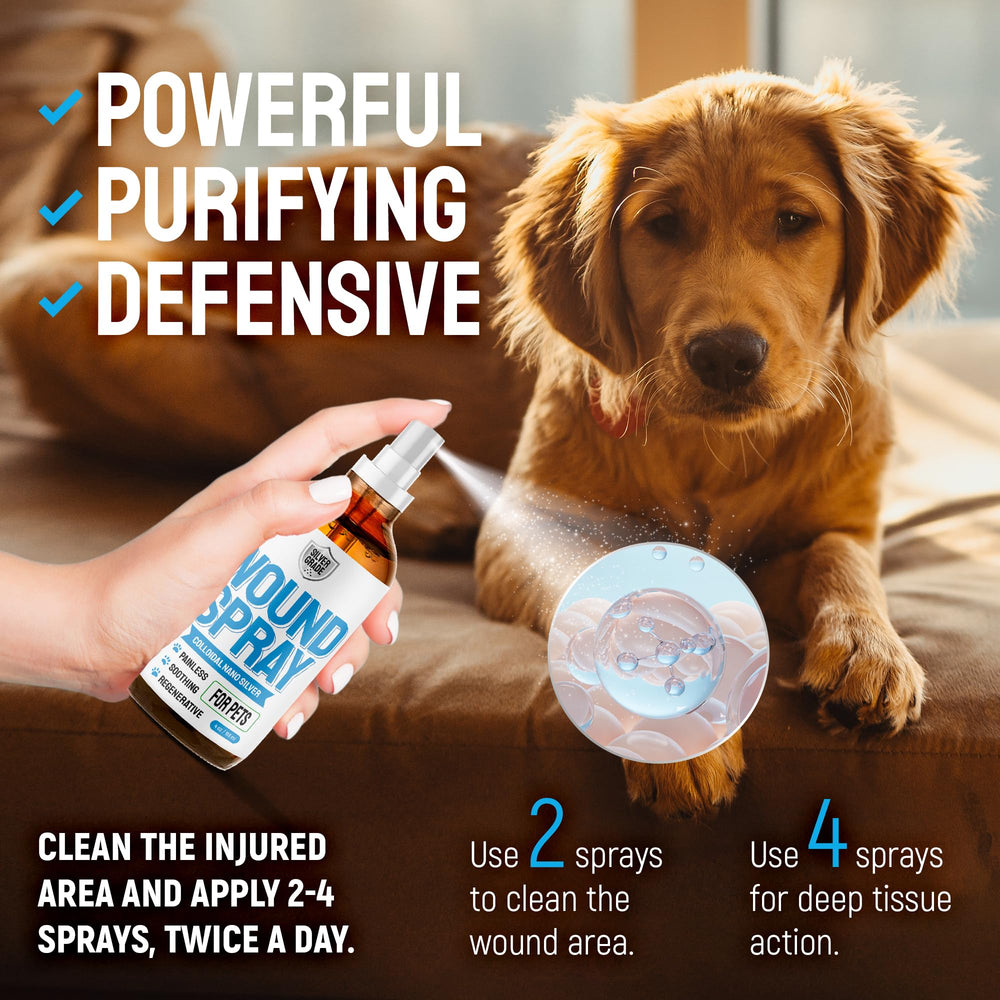 SILVER GRADE Wound Spray applied to a hot spot, fast-absorbing solution.