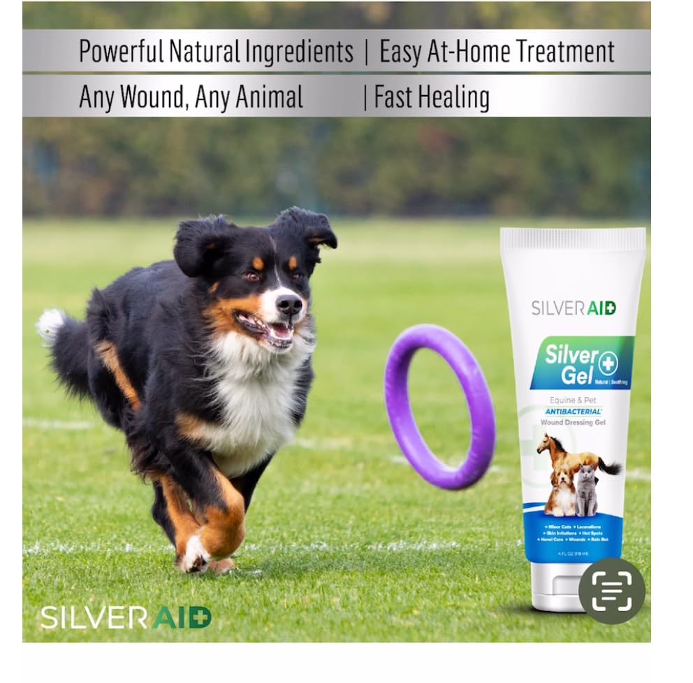 SilverAid hot-spot gel applied on a dog to calm irritation and support healing.