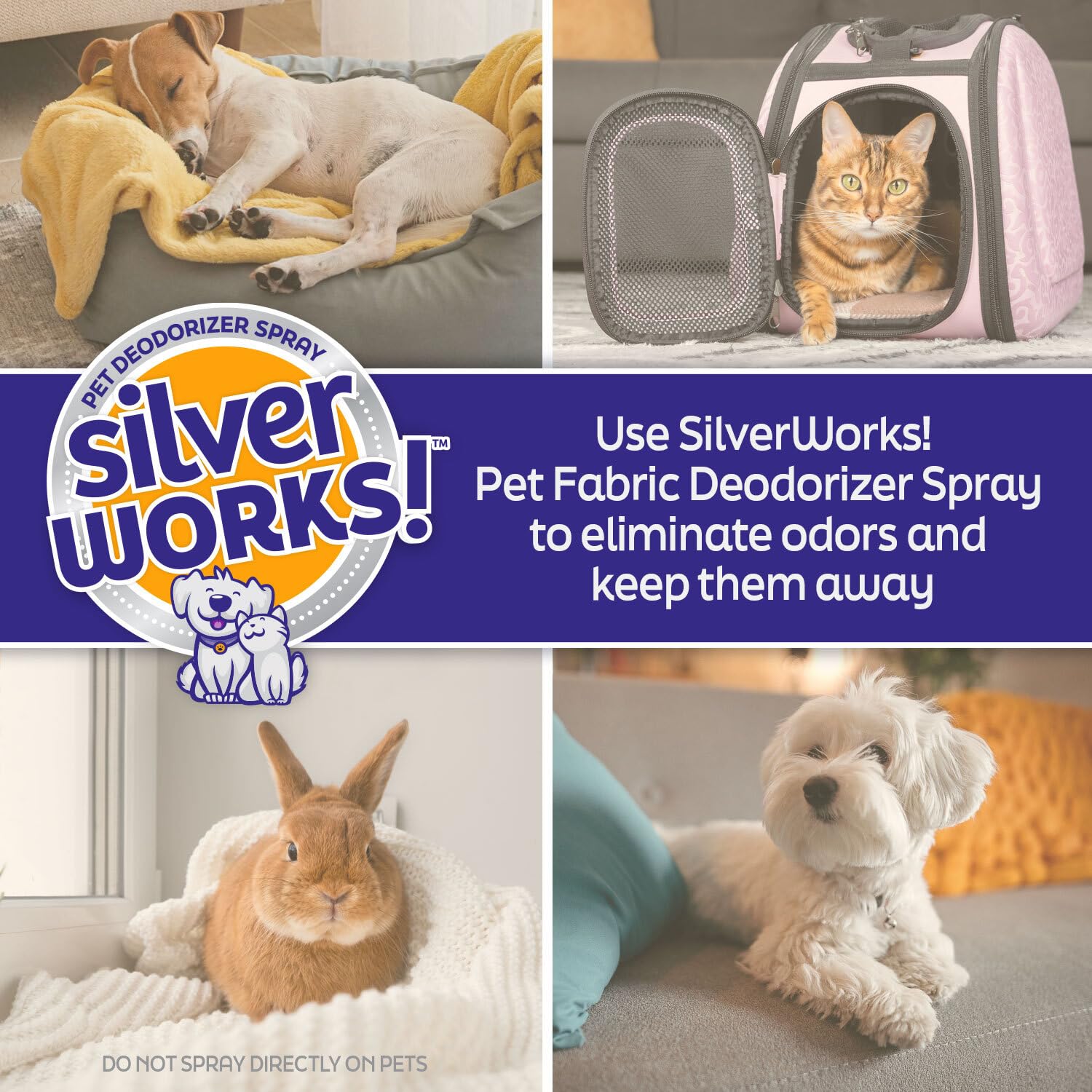 SilverWorks! package highlights surface-only use and pet safety